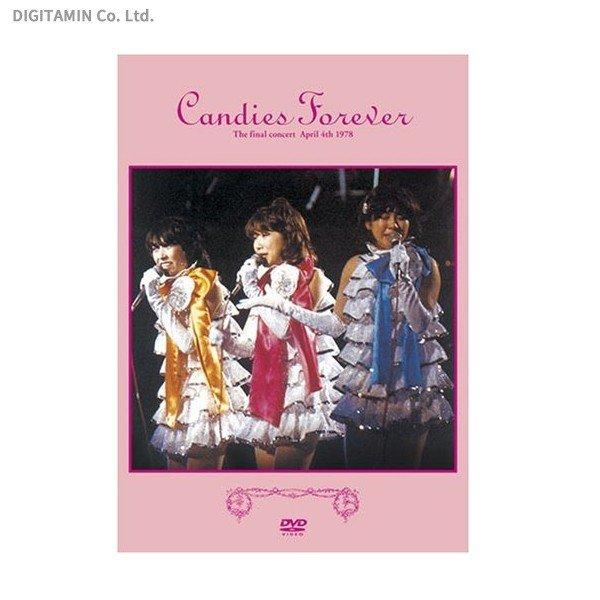 CANDIES FOREVER キャンディーズ DVD